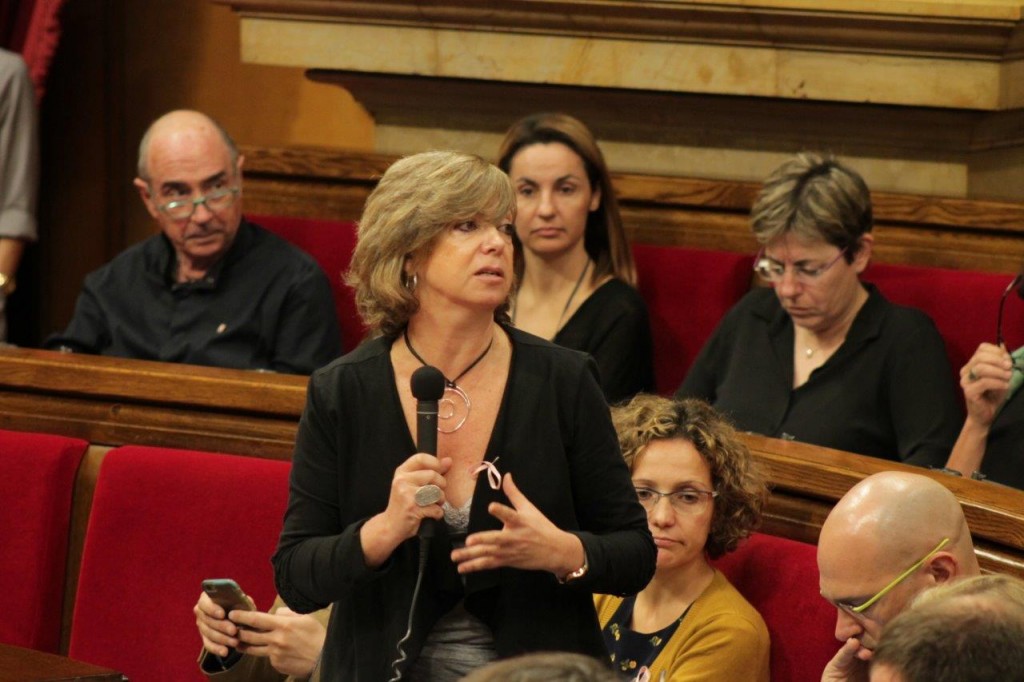 meritxelparlament3